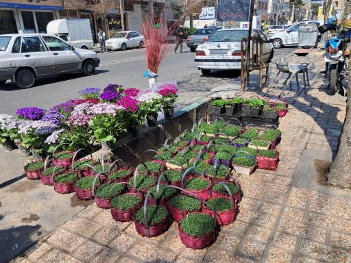 عکس قصر گل تک