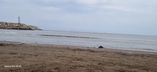 عکس ساحل بابلسر