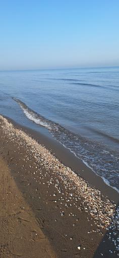 عکس ساحل بابلسر