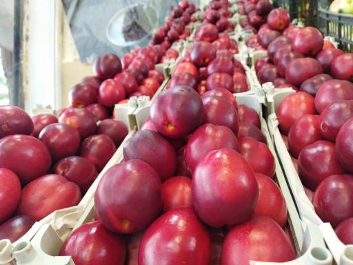 عکس میوه و سبزی فرجاد