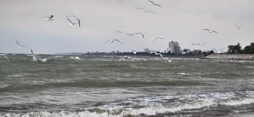 عکس ساحل بابلسر