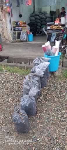 عکس زغال یاسین 