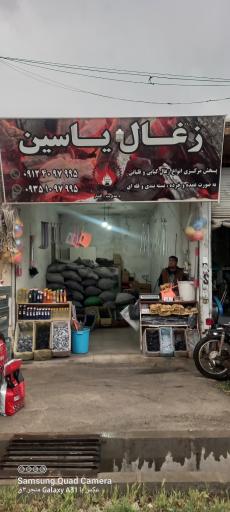 عکس زغال یاسین 