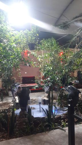 عکس جگرکی ستاره