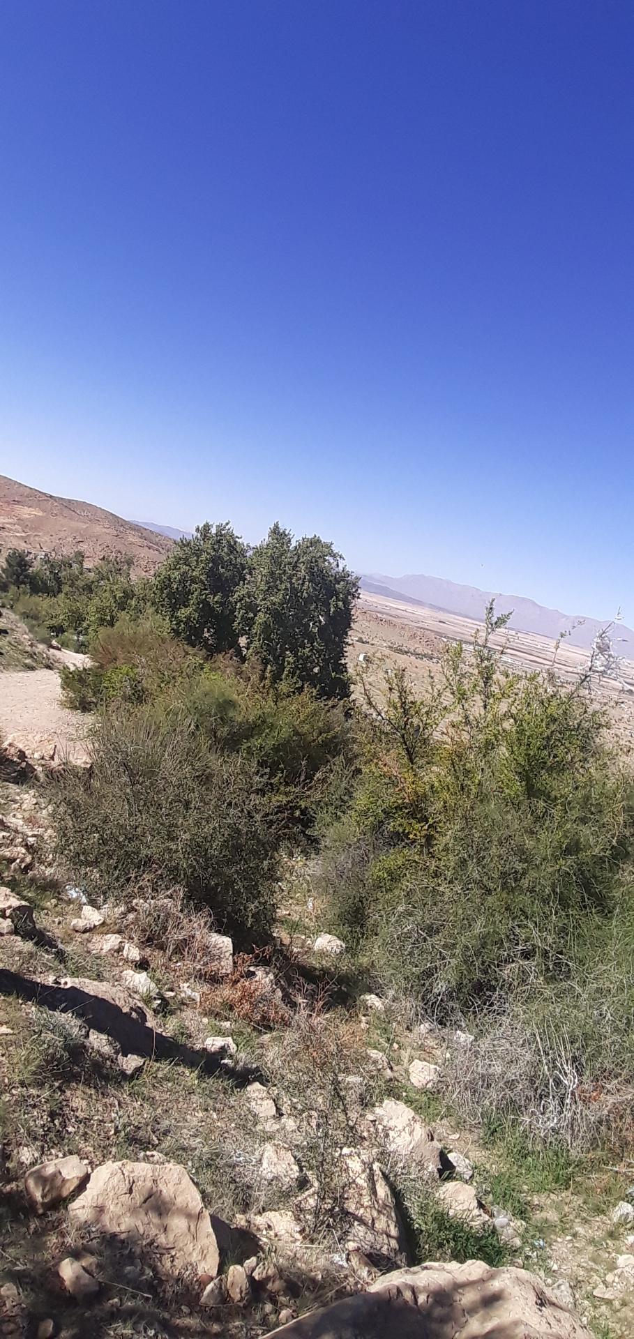 عکس چشمه بید بخون