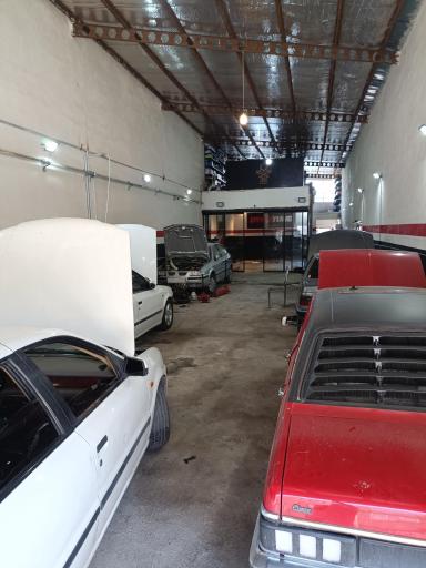 عکس داینو تیون 