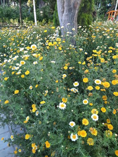 بوستان نیایش