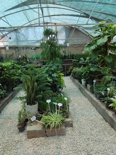 عکس گلخانه تخصصی آی گل