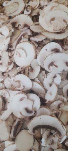 عکس پروتئین قارچ سفید