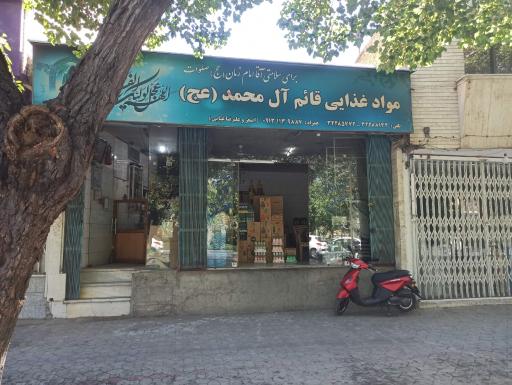 عکس هایپر قائم آل محمد