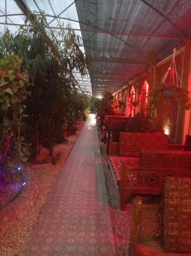 عکس جگرکی ستاره