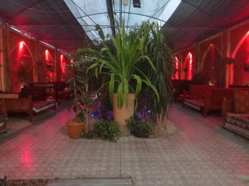 عکس جگرکی ستاره