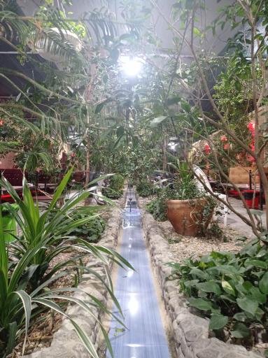 عکس جگرکی ستاره