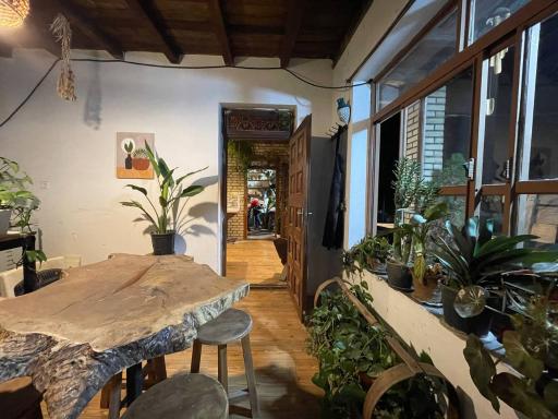 عکس کافه گالدم