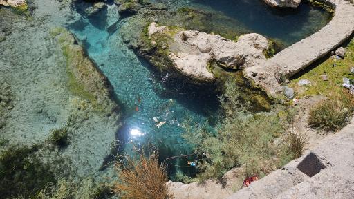 عکس چشمه روستای مالواجرد (برکه)
