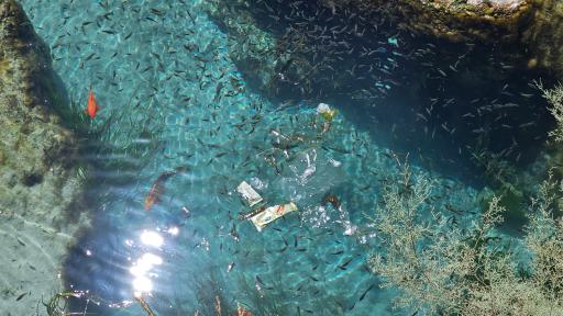 عکس چشمه روستای مالواجرد (برکه)