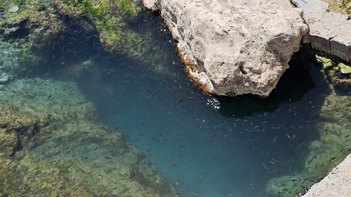 عکس چشمه روستای مالواجرد (برکه)