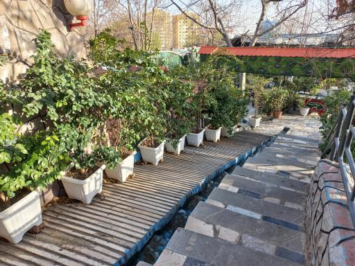 عکس سفره خانه سنتی نیلوفر آبی