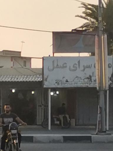 عکس میوه سرای عسل جاسک