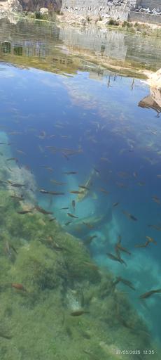 عکس چشمه روستای مالواجرد (برکه)