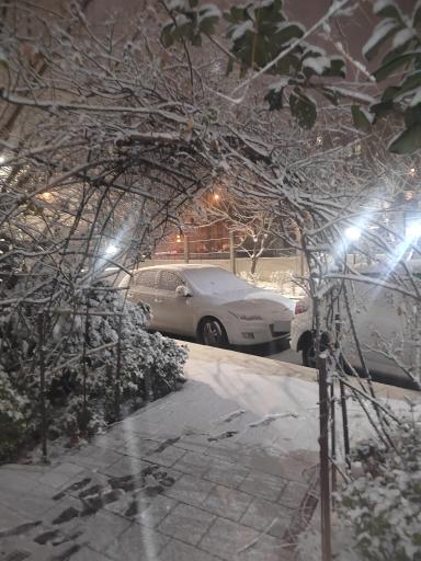 عکس مجتمع الغدیر بلوک A3