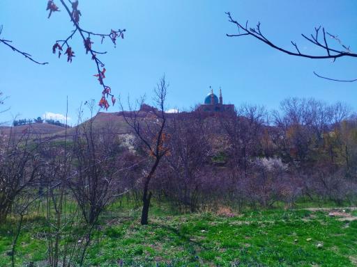 عکس جغتای
