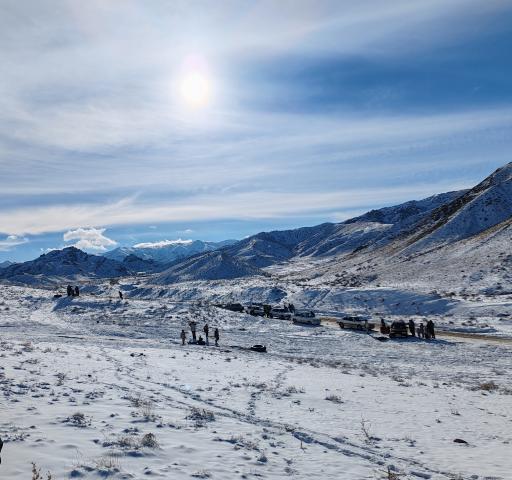 عکس جغتای