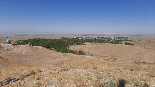 عکس جغتای