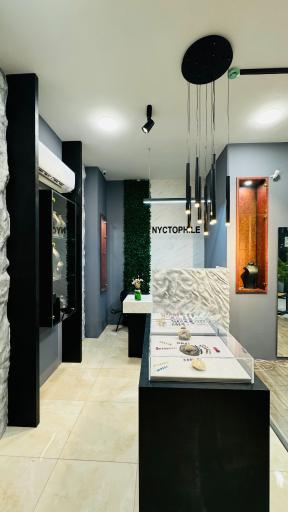 عکس نیکتوفیل گالری