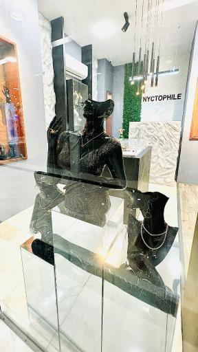 عکس نیکتوفیل گالری