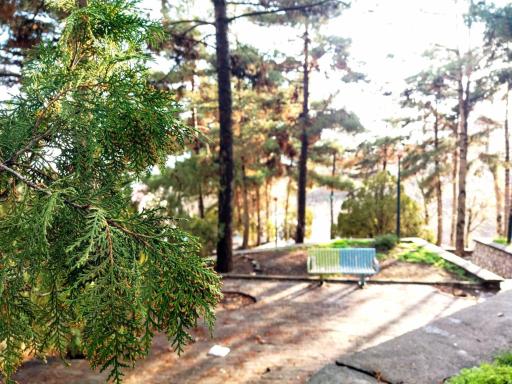 عکس مجموعه پارک مهمانسرای درود