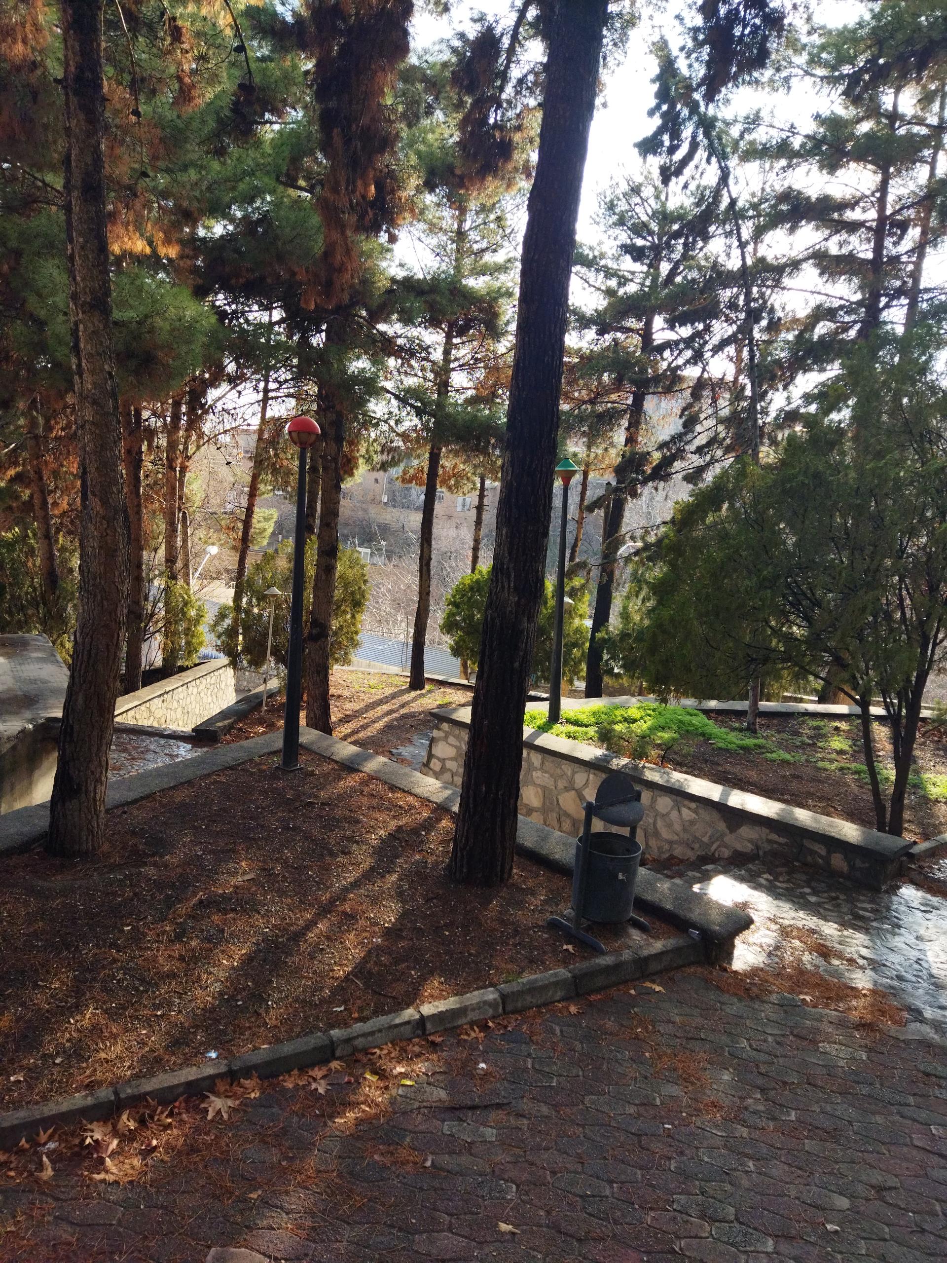 عکس مجموعه پارک مهمانسرای درود