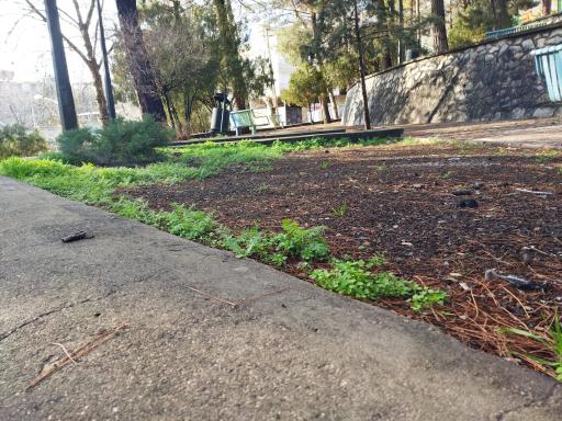 عکس مجموعه پارک مهمانسرای درود