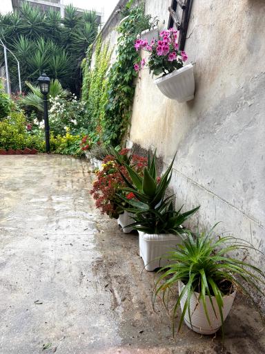 عکس اقامتگاه بومگردی فارا