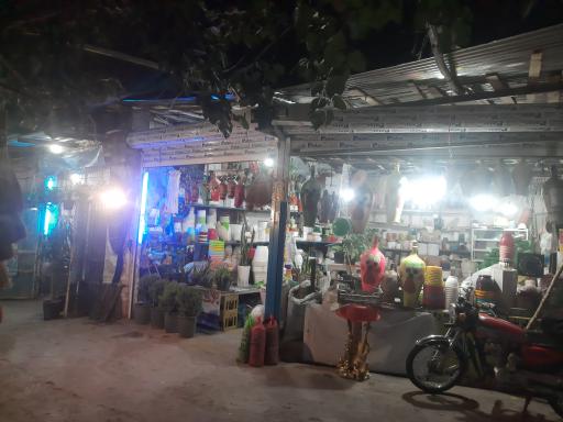 عکس گل و گیاه کمالی