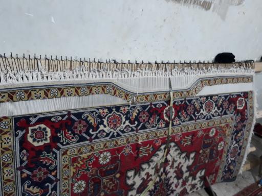 عکس دفه زنی و روفو گری علیرضا