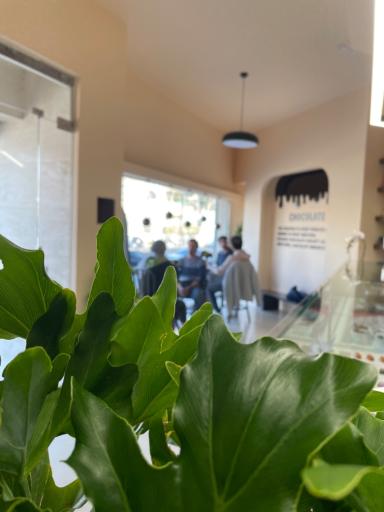 عکس بوتیک تخصصی شکلات نوژان 