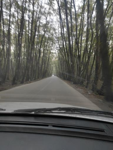 عکس ساحل گیسوم