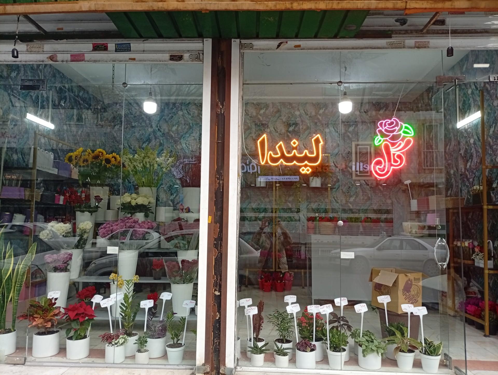 عکس گل لیندا