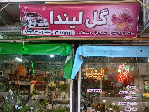 عکس گل لیندا