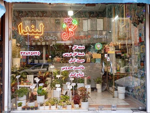 عکس گل لیندا