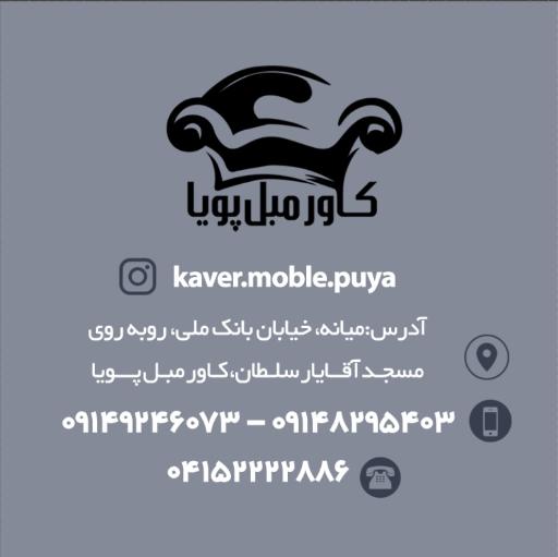 عکس کاور مبل پویا