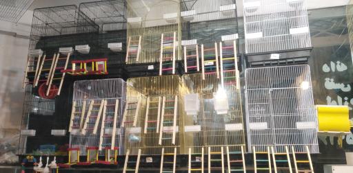 عکس پرنده سرای کلبه 