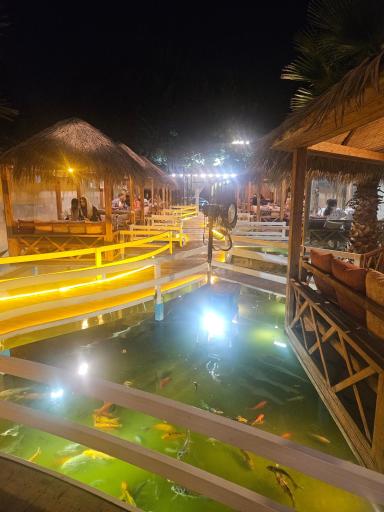 عکس کافه رستوران دنیز