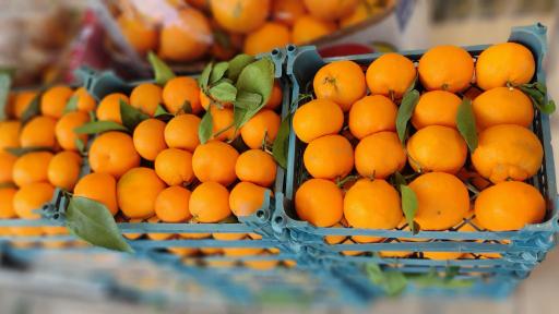 عکس میوه سرای سراب