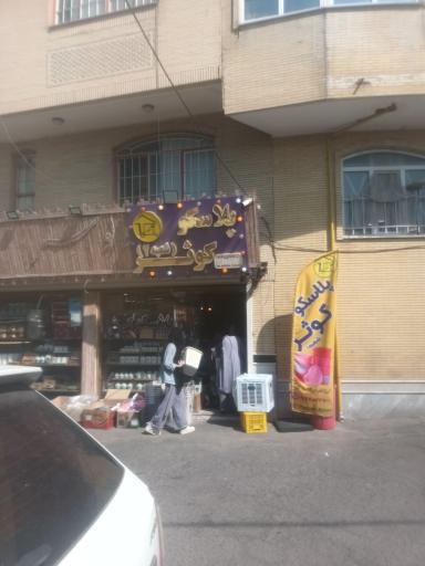 عکس پلاسکو کوثر