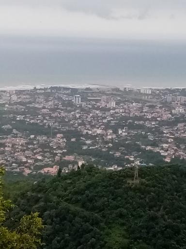 عکس دیسر