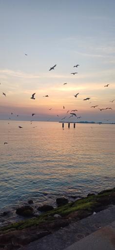 عکس پارک ساحلی عسلویه