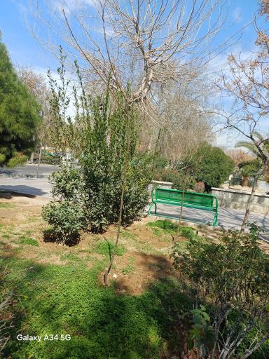 عکس بوستان 22 بهمن