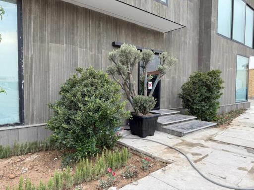 عکس کارخانه‌ تن پوش آیتین جامه